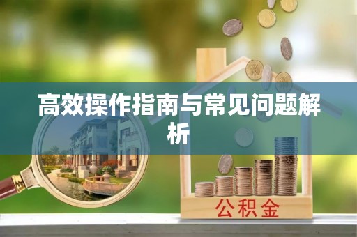 三门高效操作指南与常见问题解析