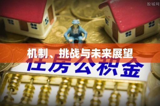 三门机制、挑战与未来展望